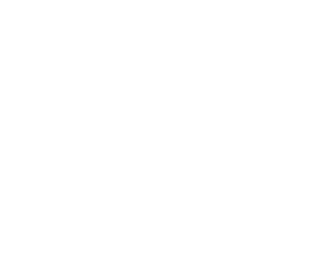 American Board of Orthodontics - Logo